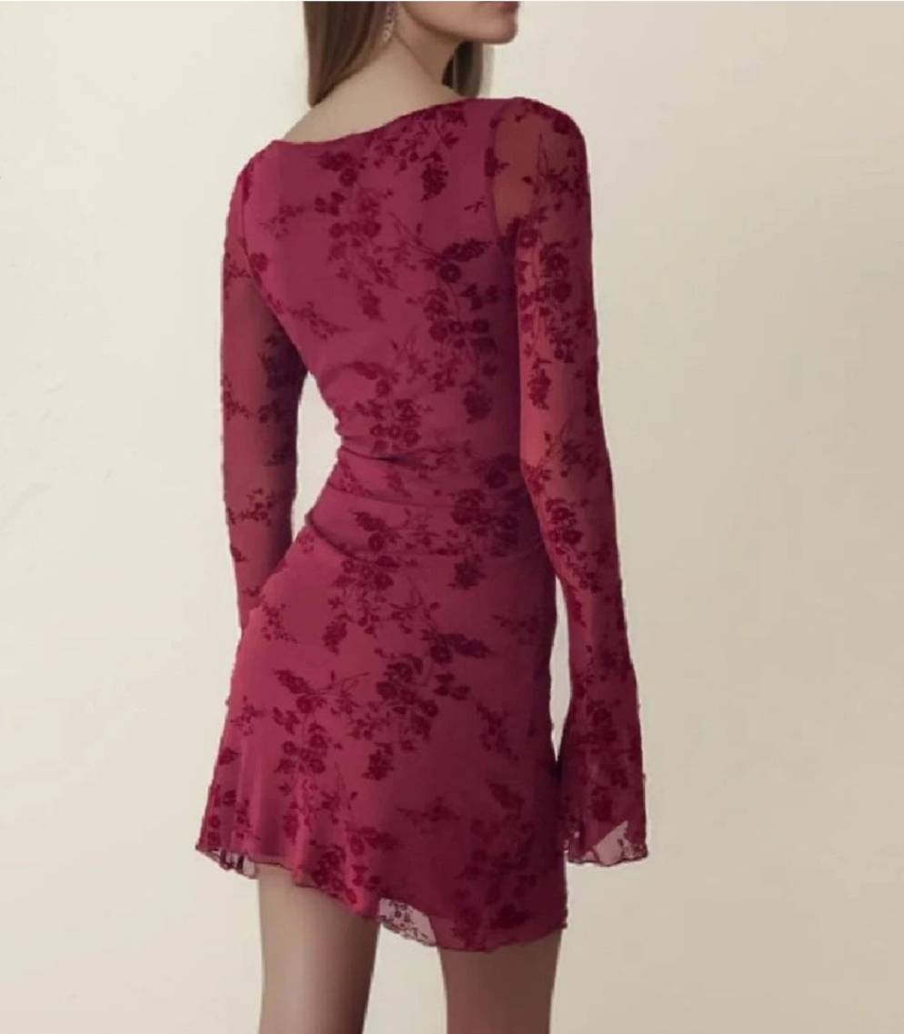 Luxury Wine Red Flocked Flower Mesh Mini Dress