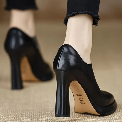 Magnificent Pointed-Toe Mary Jane Shoes – Low Thick Heel PU Leather Pumps