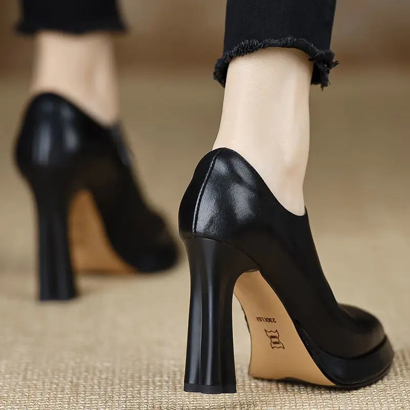 Magnificent Pointed-Toe Mary Jane Shoes – Low Thick Heel PU Leather Pumps